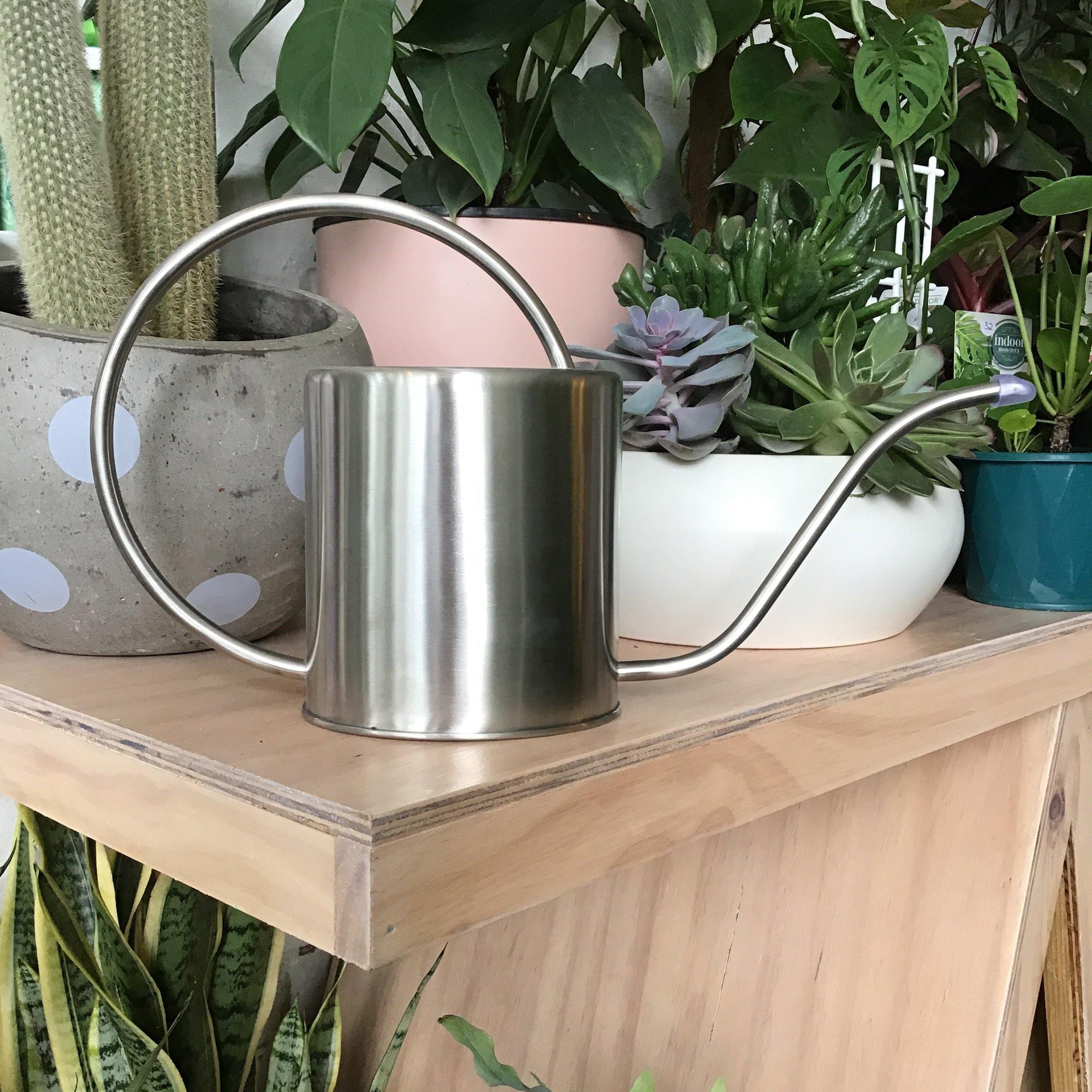 Watering Can- Stainless Steel 1.5L